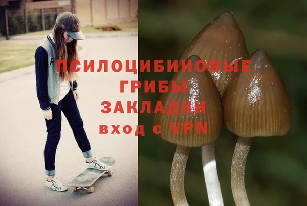 ALPHA PVP Алзамай