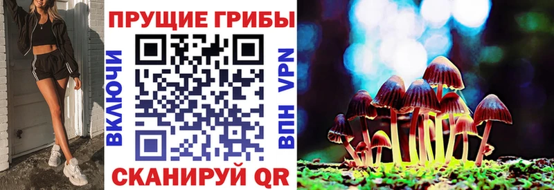 mega вход  Нарьян-Мар  Псилоцибиновые грибы мицелий 