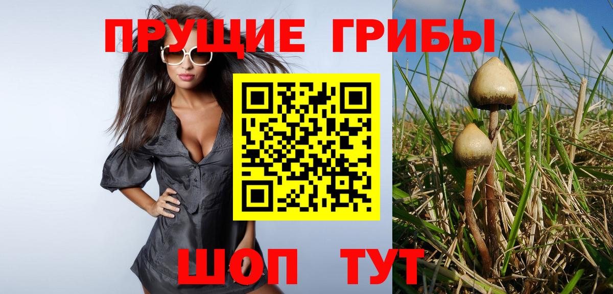 Галлюциногенные грибы Magic Shrooms  Вход с VPN  Нарьян-Мар  Псилоцибиновые грибы прущие грибы 